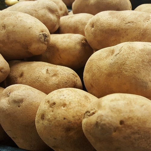Russet Potatoes