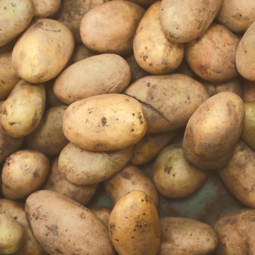 Long Potatoes