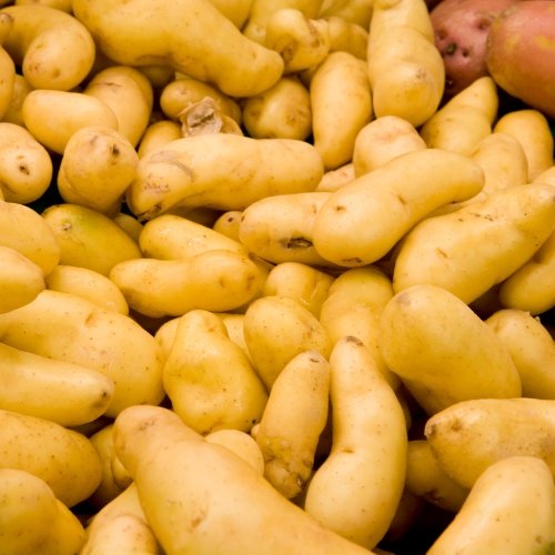Fingerling Potatoes