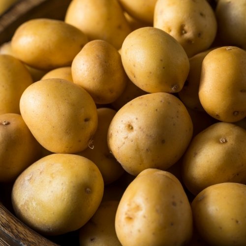 Baby Gold Potatoes