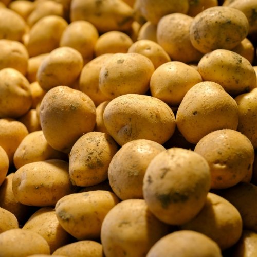 Premium Potatoes
