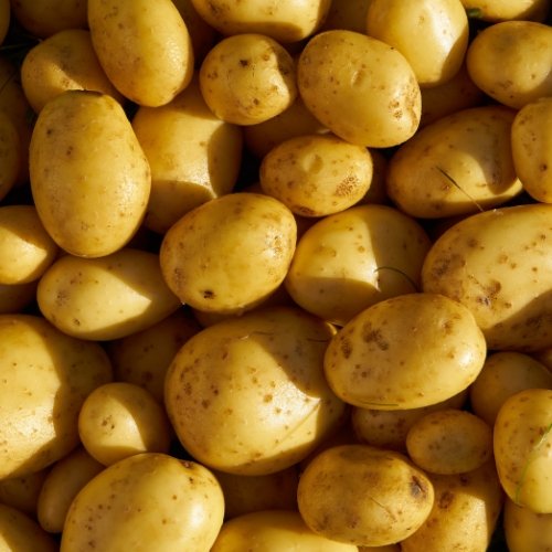 Best Quality Potatoes
